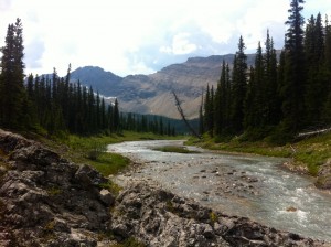 IMG_2573