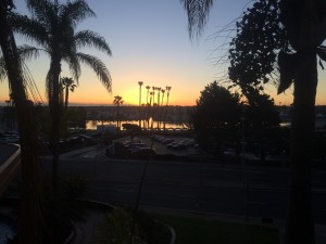 IMG_7088